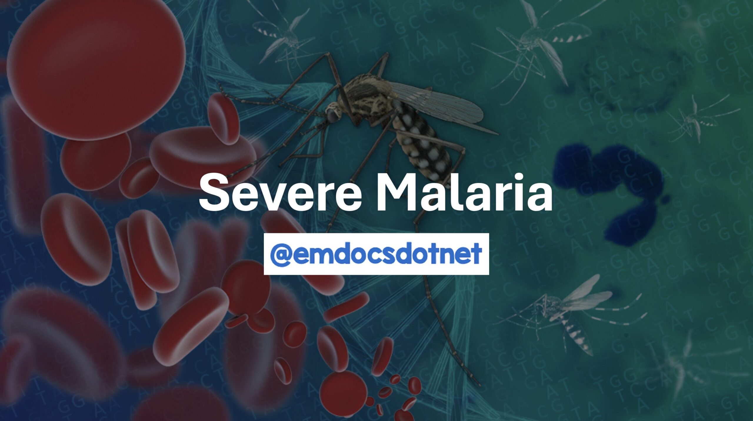 Severe Malaria Header
